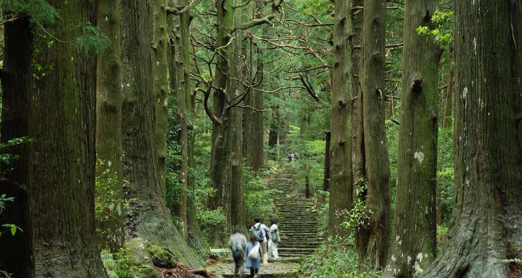 Japan: Koya-san & Kumano Kodo Trek (including Kumano) - Intrepid Travel 1