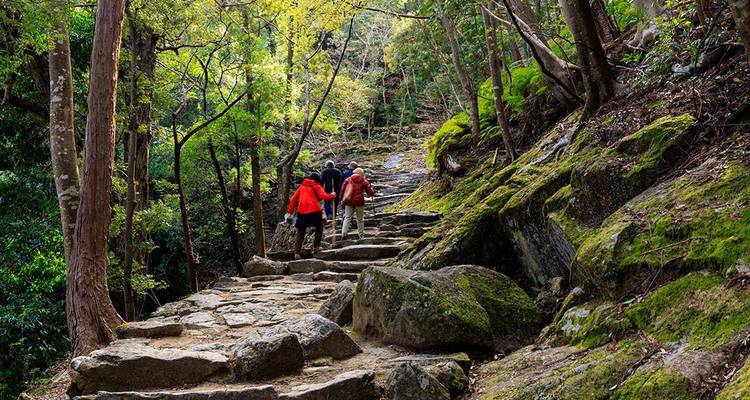 Japan: Koya-san & Kumano Kodo Trek (including Kumano) - Intrepid Travel 2