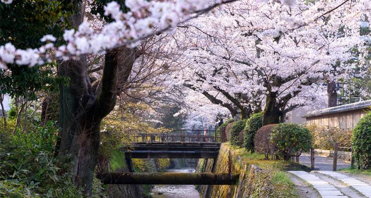 Japan: Koya-san & Kumano Kodo Trek (including Kumano) - Intrepid Travel 6