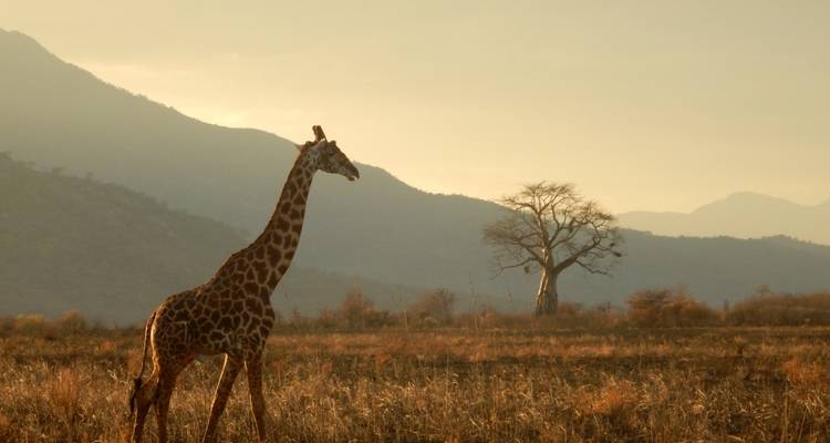 1 Día - Recorrido por la ciudad y safari por Windhoek - Knap Tours Limited 2