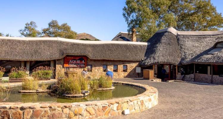 2 Day - Big Five Game Drive Safari at Aquila Game Reserve - Knap Tours Limited 4