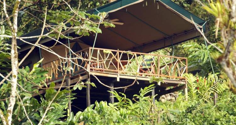 2 jours - Big Five Kruger National Park Safari Afrique du Sud - Knap Tours Limited 7