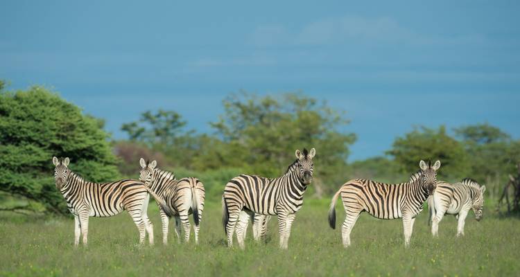 9 jours d'aventure privée à la plage au Swaziland et au Mozambique - T.S TOURS 6