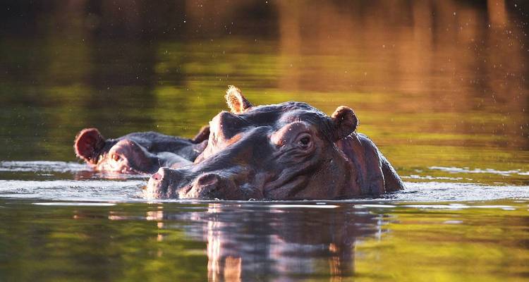 Explore Northern Zambia’s Hidden Gems 13 Days/12 Nights - Across Africa Tours & Travel 5