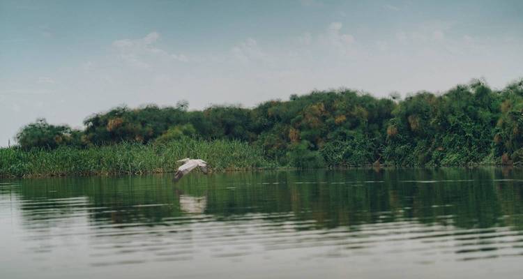 Explore Northern Zambia’s Hidden Gems 13 Days/12 Nights - Across Africa Tours & Travel 2