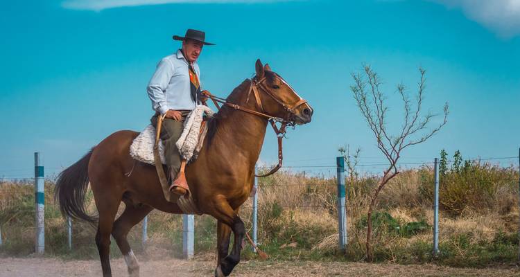 Ida y Vuelta a Argentina - 12 días Buenos Aires y el Sur de Argentina - Oasis Travel 3