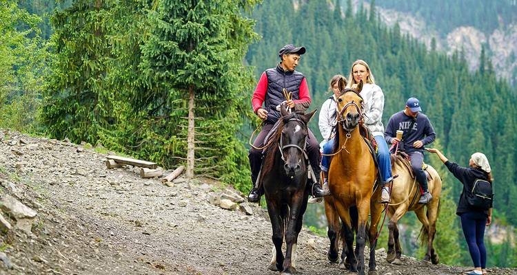 Group riding horses on a mountain trail.