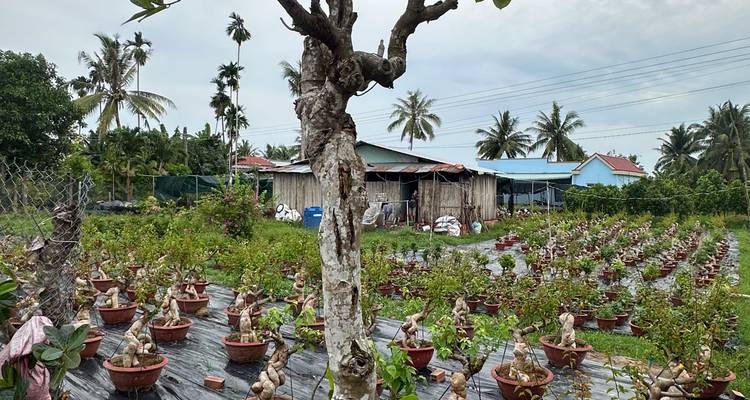 7-Night Christmas Cruise on the Mekong Navigator: Vietnam & Cambodia - Lotus Cruises 10
