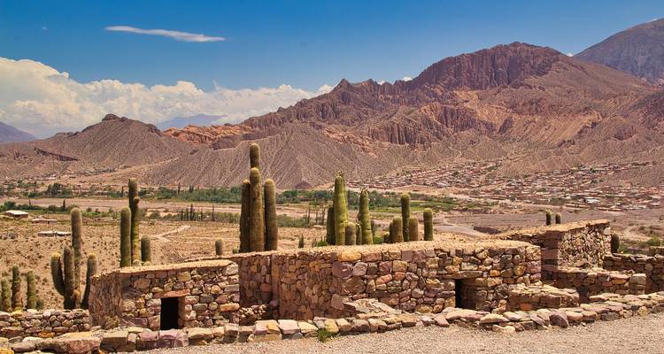 Kakteenbedeckte Landschaft mit Steinstrukturen in Cachi, Argentinien.