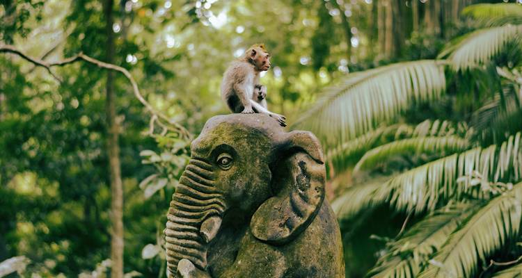 Mono sentado sobre una estatua de elefante rodeado de follaje de la selva.