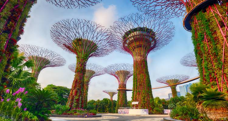 Superárboles icónicos en Gardens by the Bay en Singapur durante el día.