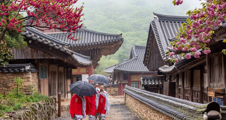 Corée du Sud Intense : Hanok Alleys & Temple Nights - journaway 7