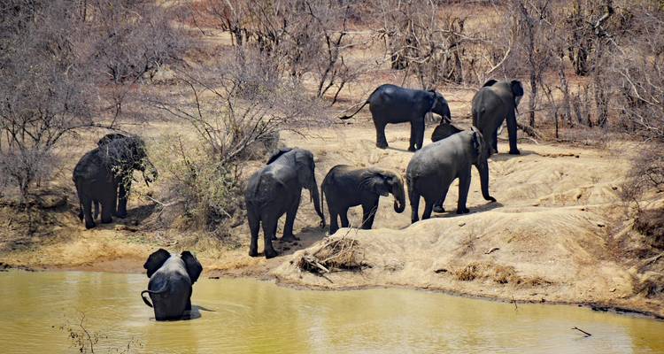 Una Aventura Cultural y de Vida Salvaje en Ghana 9 Días/8 Noches - Across Africa Tours & Travel 7