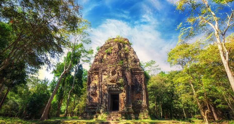 Alte Tempelruinen in einem Wald
