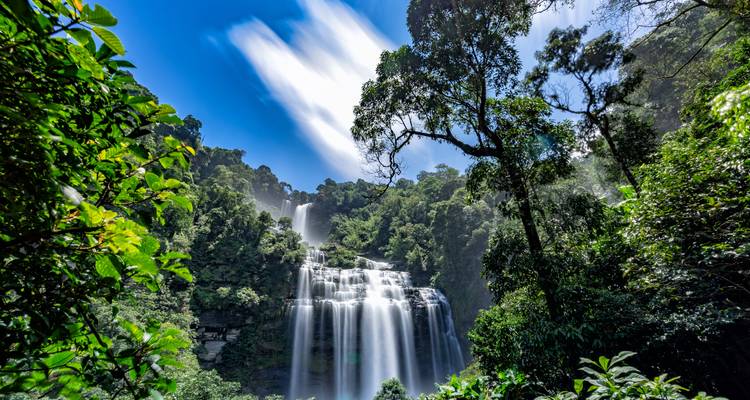 Schöner mehrstufiger Wasserfall in üppigem Wald