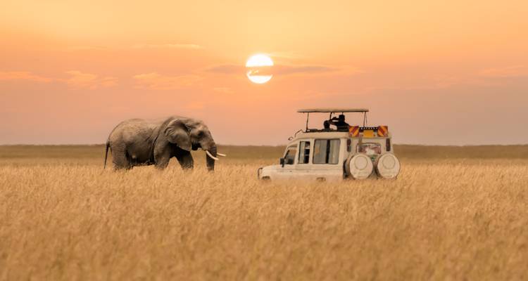 Les points forts du safari au Kruger - Premium Adventure - Exodus Adventure Travels 4