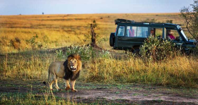 Les points forts du safari au Kruger - Premium Adventure - Exodus Adventure Travels 5