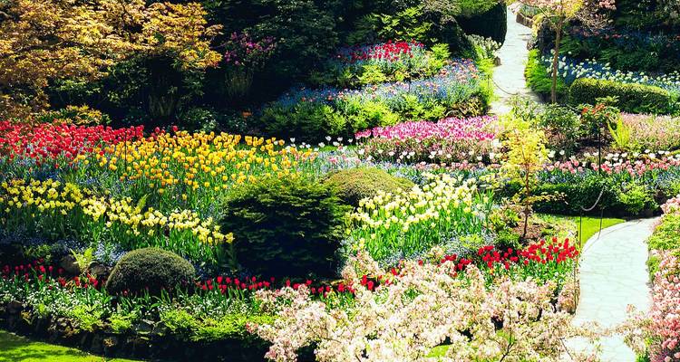 Enchanting Rockies and Alaska Cruise (Cruise First) Vancouver → Victoria (2026) - Travel Marvel 1