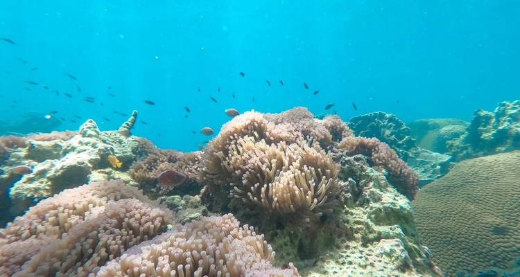 Paradis de Koh Tao - Thai Marano Travel 4