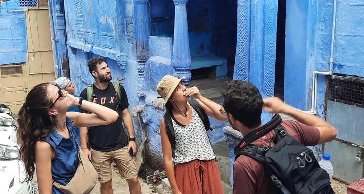 Circuit de 12 jours dans le Triangle d'Or avec Udaipur et safari tigre - Taj tour trips 7