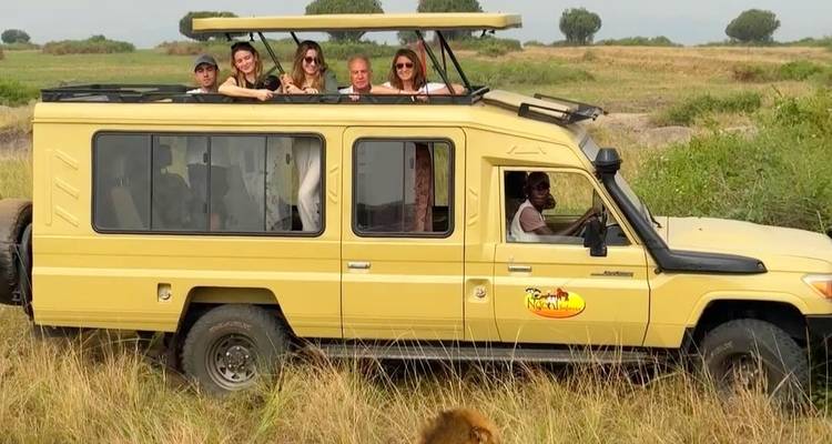 Des personnes debout dans un véhicule de safari dans un champ ouvert, un lion visible dans l'herbe.