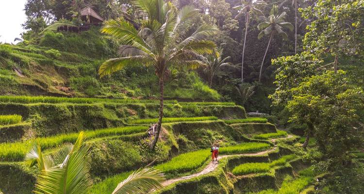 Malaysia, Singapore & Bali: From City Lights to Sunrise Hike (14 destinations) - journaway 9
