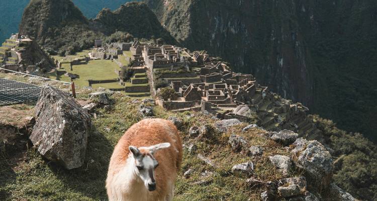 8 Days From Cusco to Machu Picchu: A Week of Adventure in Peru’s Sacred Land - Responsible Travel South America 3
