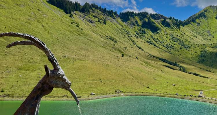 Actividad y aventura en los Alpes franceses - the HOFNAR experience 9