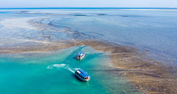 Coral Coast Aventure avec South Western Discovery Broome → Perth (2026) - APT 5