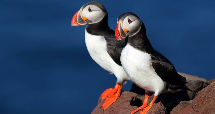 Expreso de las Islas Feroe - 5 días - On The Go Tours 1