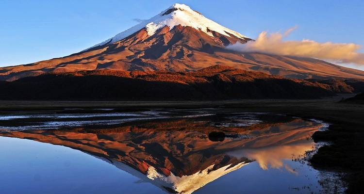Volcán Cotopaxi con la cima nevada perfectamente reflejado en una laguna tranquila durante la luz dorada.