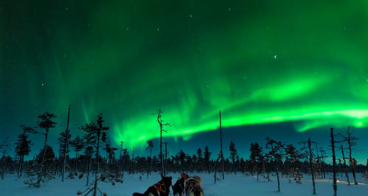 Jewels of Finnish Lapland - 5 days - On The Go Tours 4