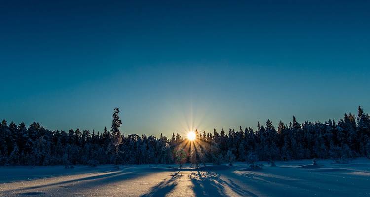 Sol invernal bajo proyectando largas sombras en un claro del bosque cubierto de nieve en la Laponia sueca.
