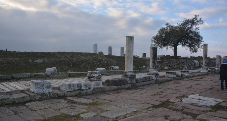 8-Day ANZAC Day Tour of Turkey with Gallipoli Dawn Service & Free Turkish Bath - Guide of Ephesus 9