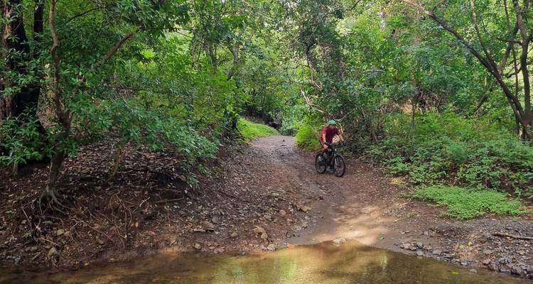Personne faisant du VTT sur un sentier forestier.