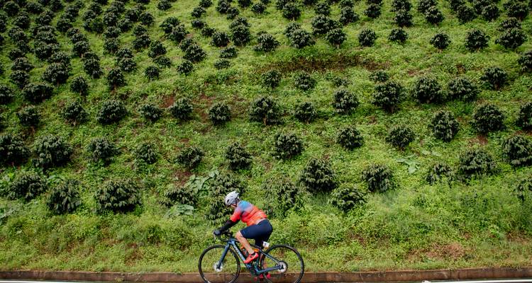 Route de l'Encanto - Go Bike 4