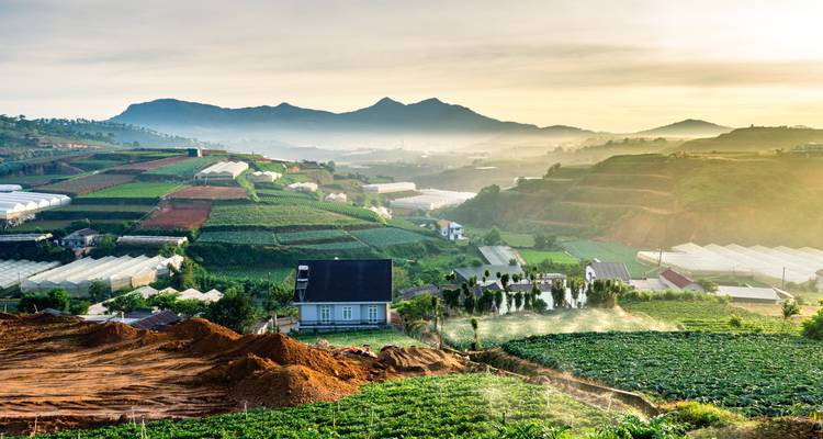 A scenic landscape with terraces and greenhouses in a misty valley during sunrise.
