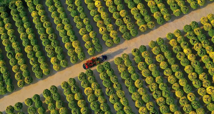 Esencial Vietnam y Camboya Ciudad Ho Chi Minh → Siem Reap (2027) - Travel Marvel 7
