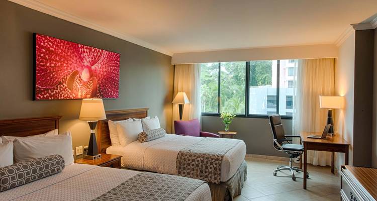 Intérieur de chambre d'hôtel avec deux lits, un bureau et une vue par la fenêtre.