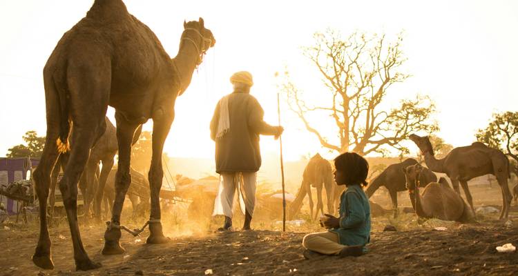 Ein Mann mit einem Kamel bei Sonnenuntergang während eines Jahrmarkts.