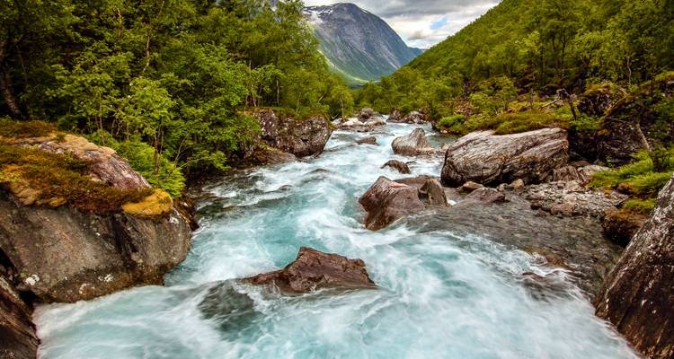 Une rivière tumultueuse dans une forêt luxuriante avec des montagnes en arrière-plan.