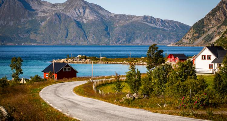 Route rurale pittoresque avec maisons colorées au bord d'un fjord.