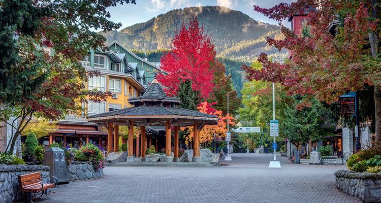 Canada Road Trip: Vancouver vibes & Rocky Mountains (including Tofino) - journaway 1