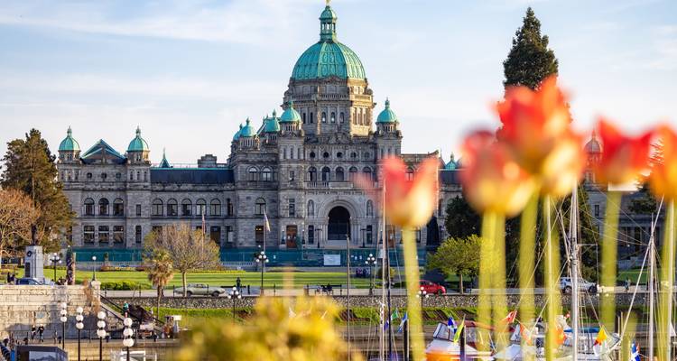 Canada Road Trip: Vancouver vibes & Rocky Mountains (including Tofino) - journaway 9