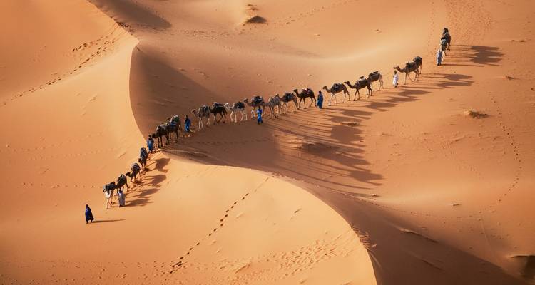 Une caravane de chameaux traversant les dunes du désert.