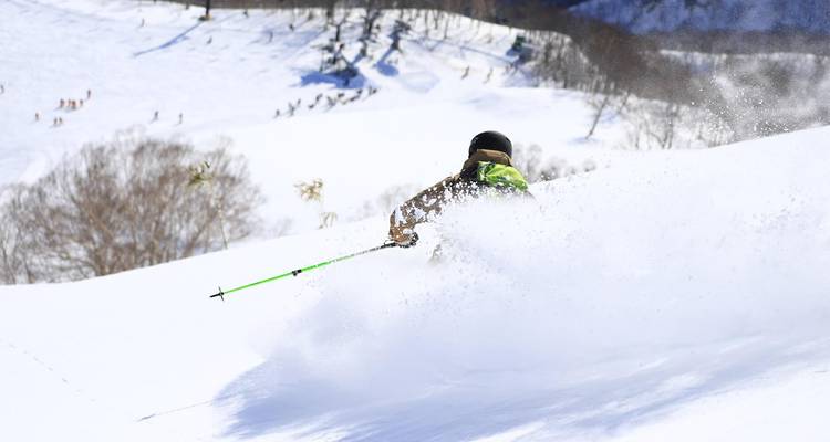 Skieur se déplaçant sur une pente de montagne enneigée, vu de dos.