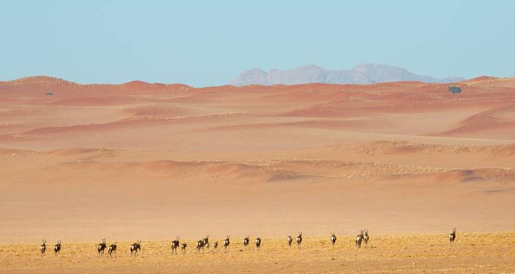 14 jours - Voyage privé à travers les merveilles les plus sauvages de la Namibie - T.S TOURS 4