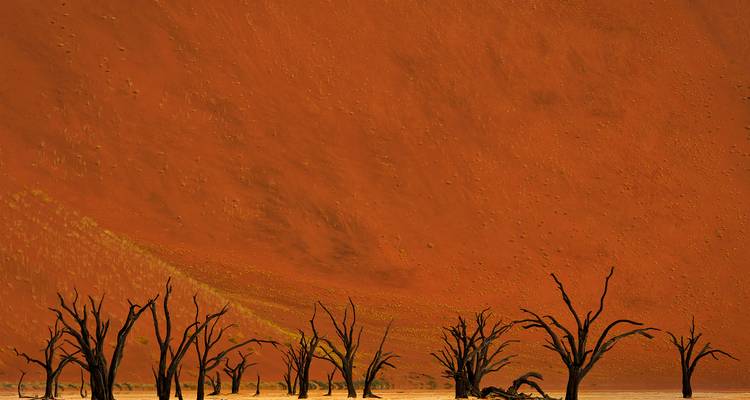 14 jours - Voyage privé à travers les merveilles les plus sauvages de la Namibie - T.S TOURS 8