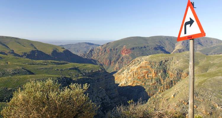 In the Kingdom of the Proteas (10 destinations) - DIAMIR Erlebnisreisen 9