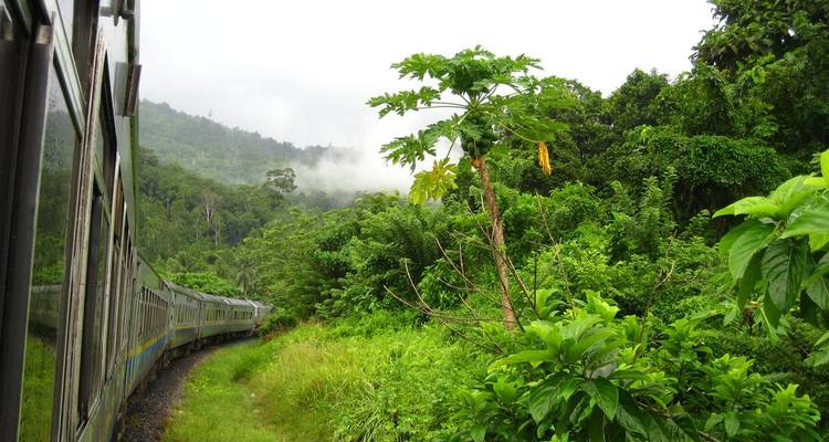 Aventure ferroviaire dans la jungle de Malaisie - Intrepid Travel 3